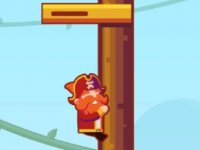 Private Pirate Adventure Online Game