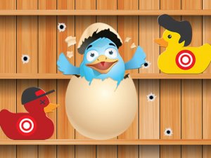 Duck Challenge Shooting Game
