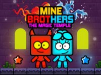 Temple Brothers Puzzle Adventure