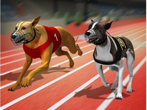 Racing Dog Simulator: Crazy Dog Racing Game Online