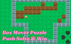 Box Mover Puzzle: Push & Solve Online Game
