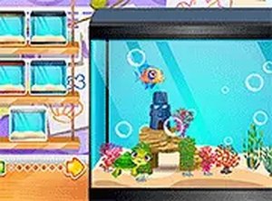 Underwater Habitat: Custom Aquarium Builder